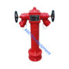 2 Ways Wet Barrel Pillar fire hydrant BS750