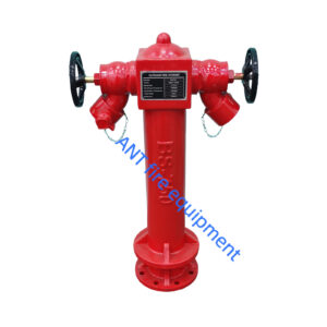 BS750 fire hydrant-2 2 Ways Wet Barrel Pillar fire hydrant BS750