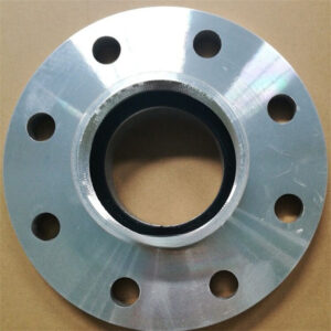 Companion Flange