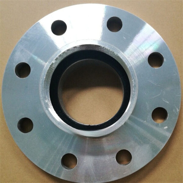 Companion Flange