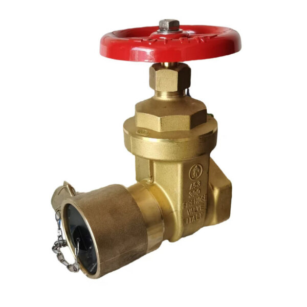 Dry Riser Gate Valve – BSP Female