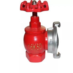 H9e86e884531b48f7931f3192e95a27e3o 16K65 and 16K50 Indoor Fire Hydrant for Vietnam Market