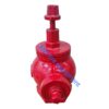 Philippine American standard hydrant valve