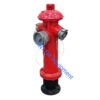 French fire hydrant with guillemin coupling