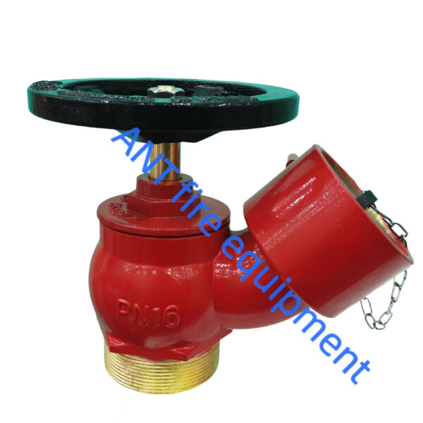 2.5" BS336 Oblique Landing Valve (Aluminium Alloy)