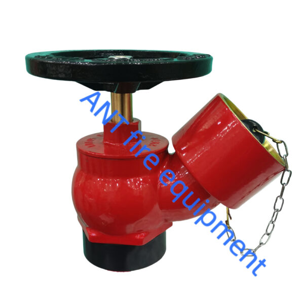 2.5" BS336 Oblique Landing Valve (Brass)