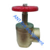 2 inch right angle valve-brass landing valve(ANT FIRE)