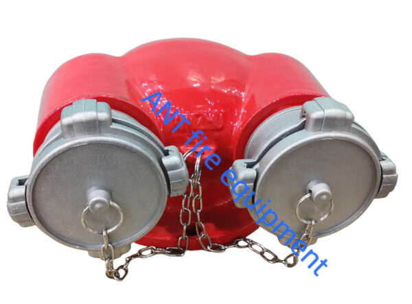 HỌNG TIẾP NƯỚC CHỮA CHÁY 2 CỬA D65