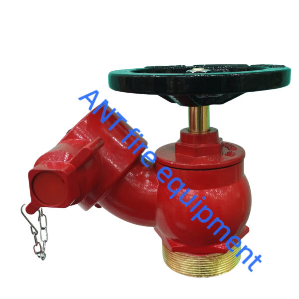 2.5" BS336 Oblique Landing Valve (Aluminium Alloy)