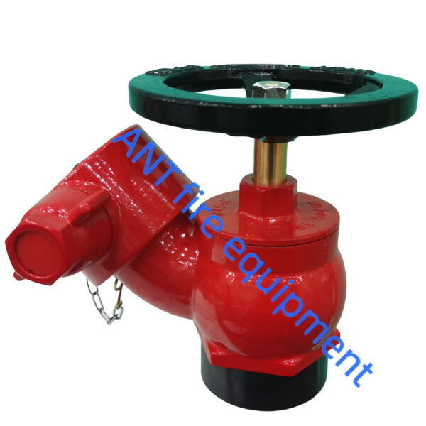 2.5" BS336 Oblique Landing Valve (Brass)