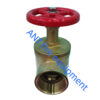 2.5 inch right angle valve-brass landing valve fire hydrant  2.5"