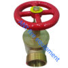 2.5 NH inch right angle valve-brass landing valve(ANT FIRE)