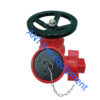 2.5" BS336 Oblique Landing Valve (Aluminium Alloy)
