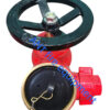 2.5" BS336 Oblique Landing Valve (Brass)