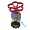 2 inch fire hydrant angle valve-brass landing valve(ANT FIRE)