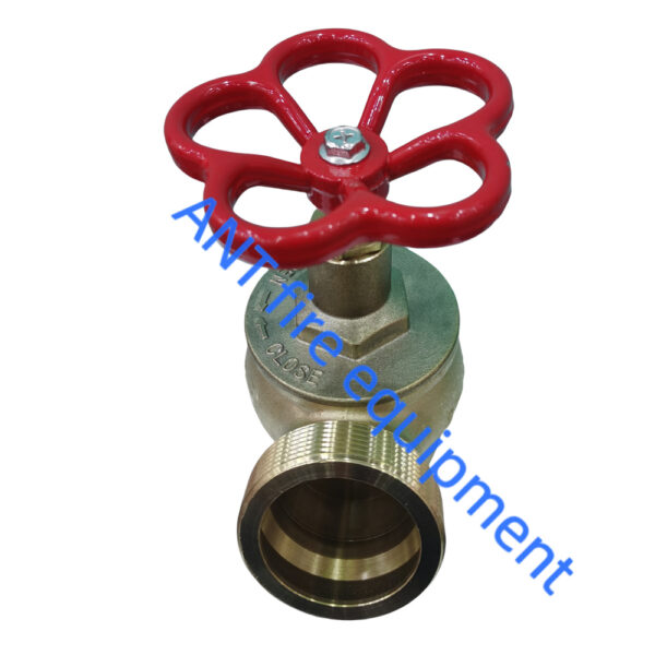 2 inch fire hydrant angle valve-brass landing valve(ANT FIRE)