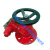 Flange 2.5'' Brass Fire Hydrant Landing Valve