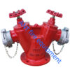 Đầu trụ chữa cháy 2 cửa DN65 65-16K65