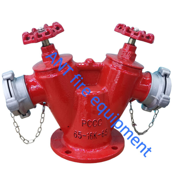 Đầu trụ chữa cháy 2 cửa DN65 65-16K65