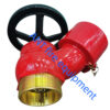 2.5" BS336 Oblique Landing Valve (Brass)