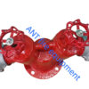Đầu trụ chữa cháy 2 cửa DN65 65-16K65