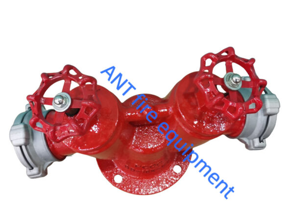 Đầu trụ chữa cháy 2 cửa DN65 65-16K65