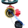 2.5" BS336 Oblique Landing Valve (Brass)