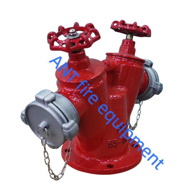 Đầu trụ chữa cháy 2 cửa DN65 65-16K65