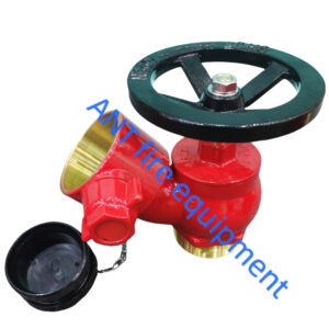 2.5" BS336 Oblique Landing Valve (Brass) 2.5" BS336 Oblique Landing Valve (Brass)
