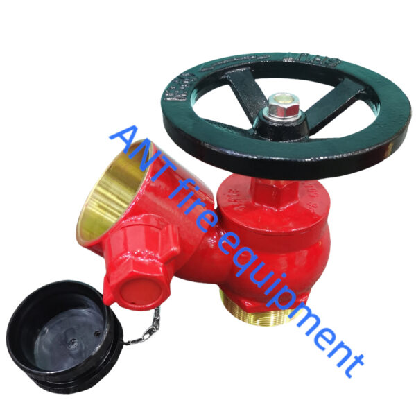2.5" BS336 Oblique Landing Valve (Brass)