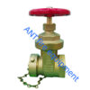 Straight Hose Gate Valve Straight Hose Gate Valve