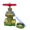 Straight Hose Gate Valve Straight Hose Gate Valve